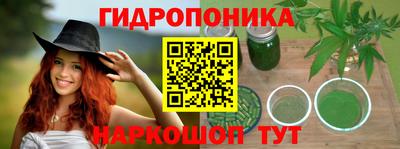 спиды Обь