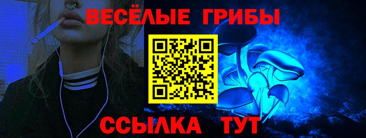 Псилоцибиновые грибы прущие грибы  Галлюциногенные грибы прущие грибы  Вход с VPN  Пугачёв 